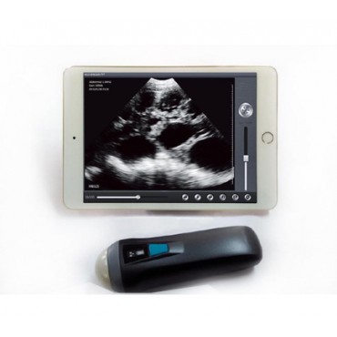 ultrasound probe MSLPU36