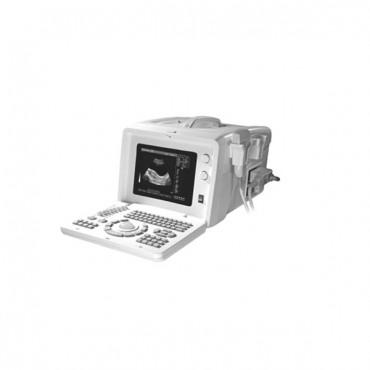 Buy Multifunctional Digital Screen Ultrasound  Machine MSLPU04 