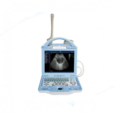 High Cost-Effective LED Human Ultrasound Scanner MSLPU27