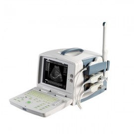 3D Digital Ultrasound Equipment MSLPU30