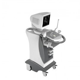 Economic Hospitals & Clinics Digital Trolley Ultrasound Scanner- MSLTU01