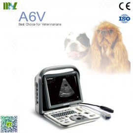 ultrasonido veterinario