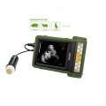 Cost-effective Veterinary Ultrasonic Diagnostic Instrument For Sale MSLVU20